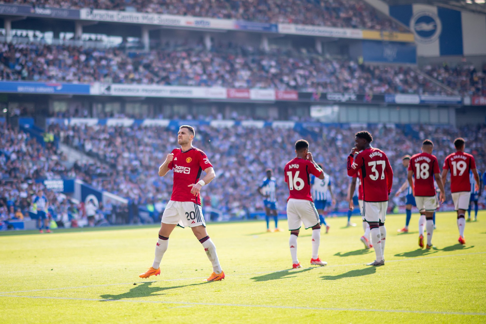 仅观察当前 仅观察当前